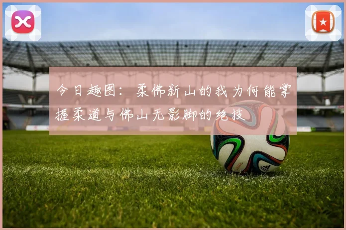 今日趣图：柔佛新山的我为何能掌握柔道与佛山无影脚的绝技